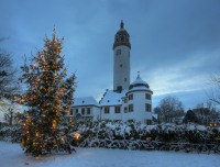 Weihnachtsbaum Schlossplatz  H�chst