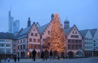 Weihnachtsbaum vor dem Frankfurter Rmer