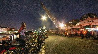 Fahrr�der an der Weseler Sommerwerft