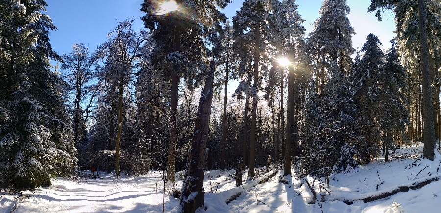 Schneezauber im Taunus im Februar 2021: Gipfel des Altknig