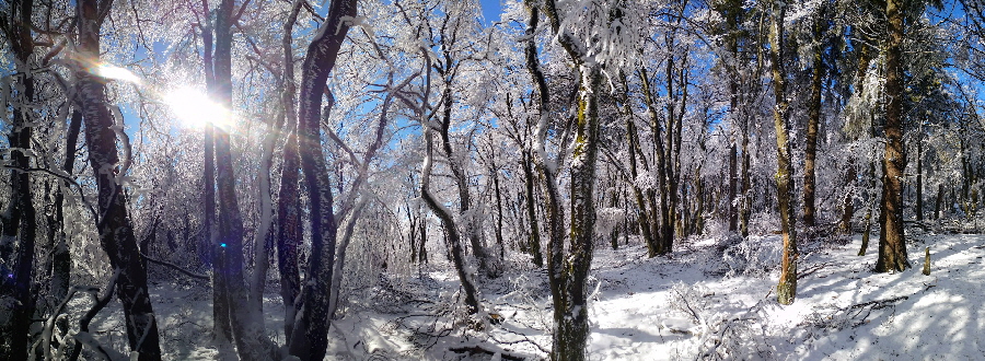 Wintersonne im Schnee am Altknigaufstieg