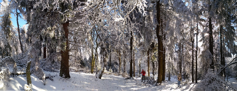 Schneewanderer und Langlufer am Altknig