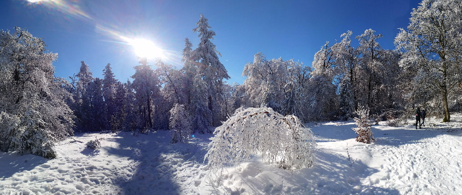 Altknig: Lichtung im Winter