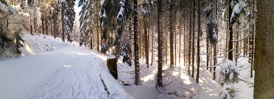 Abstieg vom Fuchstanz in Richtung Knigstein-Falkenstein