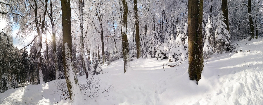 Schnee an der Altknigflanke