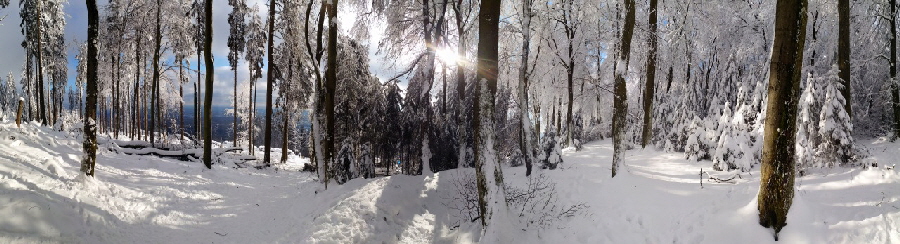 Taunuswinterlandschaft: Schnee auf dem Altkniggipfel