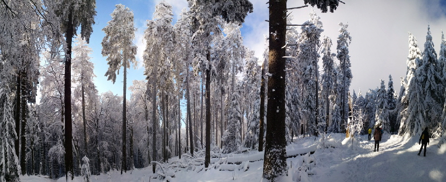 Altknigpanorama im Taunus (Hessen)