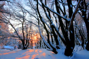 Winterwanderung Altknig