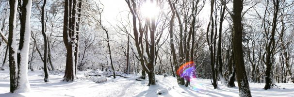 Winterpanorama auf dem sonnigen Altkniggipfel