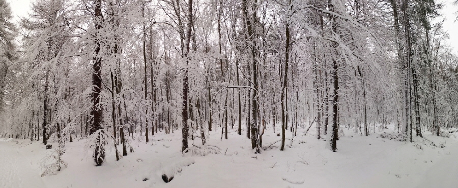 Winterwunderland: Groer Feldberg (Taunus)