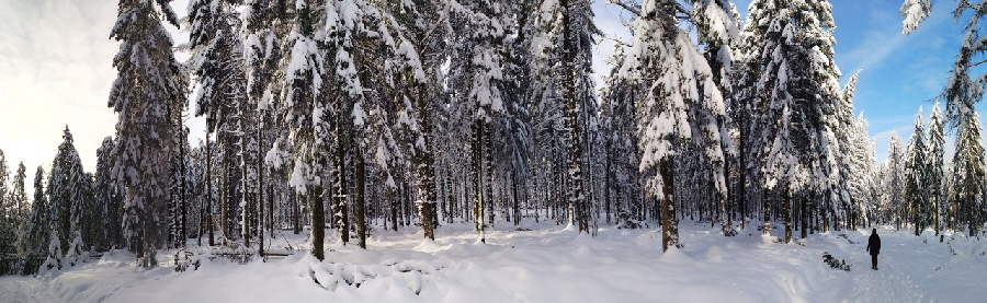 Schneewanderung am Kleinen Feldberg (Taunus)