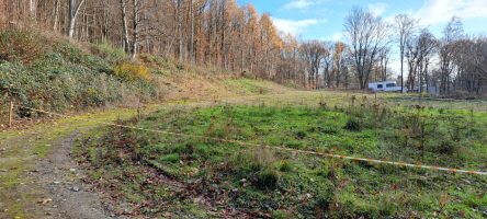 Freiflche, auf der das ehemalige Pdagogische Institut in Knigstein-Falkenstein stand