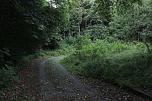 Auffahrt in den Hof