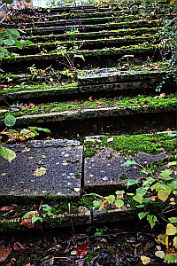 verfallende Besuchertreppe zum Institut