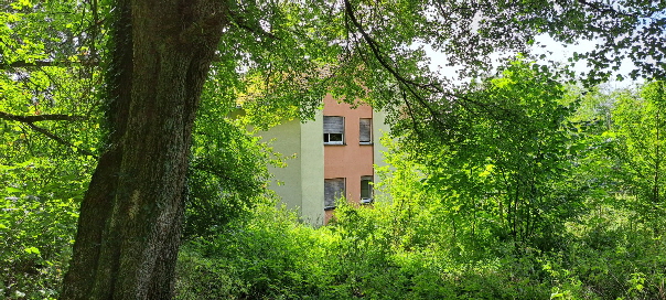 zuwachsendes Gebude in Falkenstein