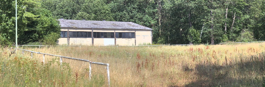 Grasberwucherter Reitplatz Bad Soden, Eichwald