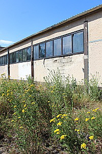 Sommerblumen vor dem Pferdestall der Reitanlage Bad Soden