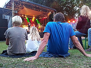 Zuschauer beim Konzert der Igels
