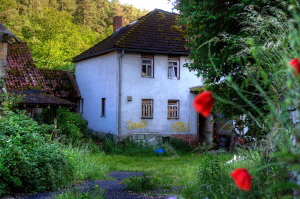Wohnhaus Taunusmhle, Mohnblten im Sommer