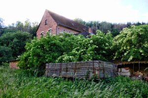 verwahrloster Anhnder am Grundstcksrand