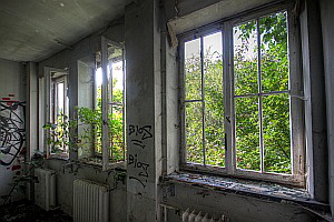 Die grne Hlle des Arboretums wuchert in das Hangargebude.