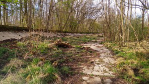 Fahrbahnreste der Nordkurve der Rennstrecke in Rsselsheim