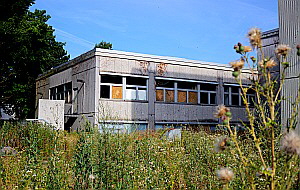 Auf dem Grundstck wuchern Grser, Kruter und Unkraut.